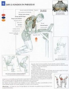 Entrenamiento de Pecho Explosivo en Suplementos America