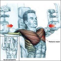 ejercicio de pecho que se llamapekdek