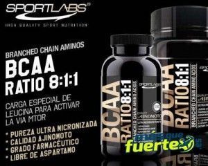 bccas de sportlabs