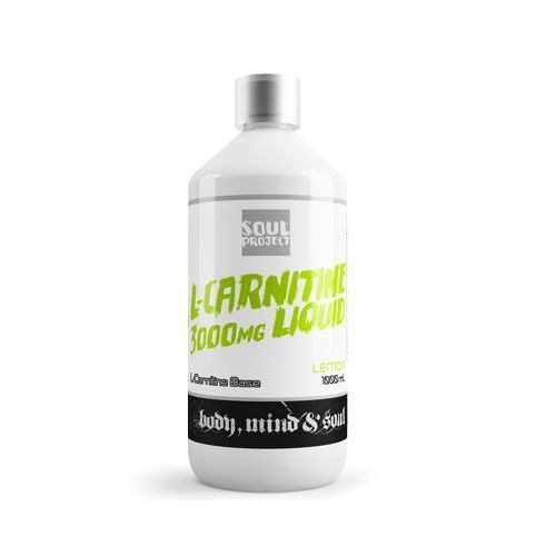 carnitine 3000 soul project labs con 100 tomas